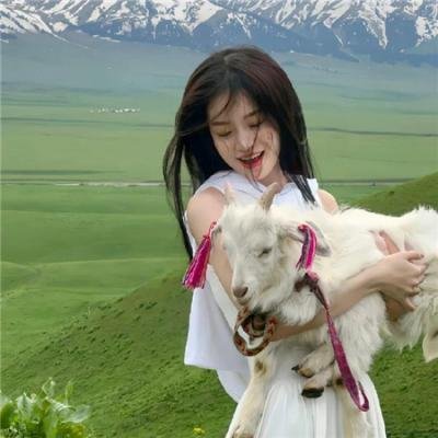 森林泰山2